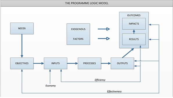 Program logic model